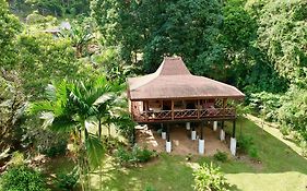 Uvita Bali Bosque Retreat